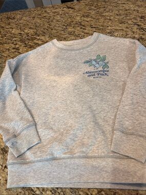 Abercrombie Kids Sweatshirt